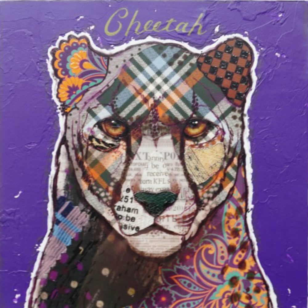 Cheetah